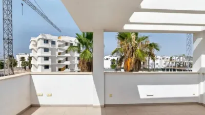 Chalet in Guardamar del Segura photo 35