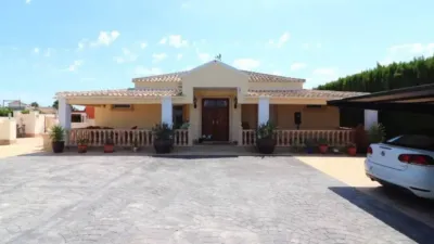 Rustic house in Almoradí photo 39