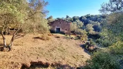 Rustic house in La Nava photo 13