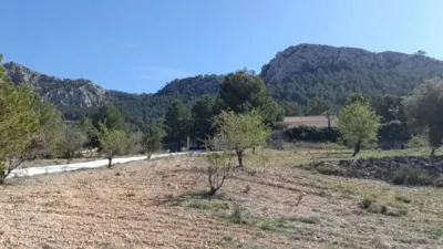 Chalet in Abanilla photo 31