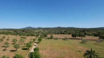 Rustic house in Algaida photo 25