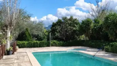 Rustic house in Murcia Capital photo 5