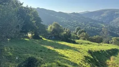Rustic house in Saro photo 11