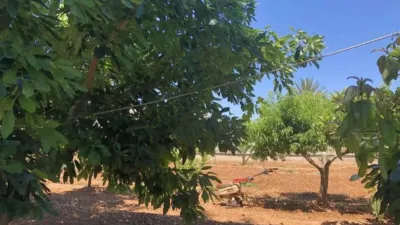 Rustic house in Ondara photo 26