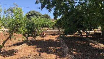 Rustic house in Ondara photo 19
