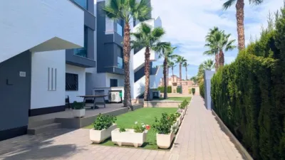 Apartment in Guardamar del Segura photo 26