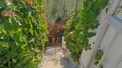 Rustic house at 19 Sierra de Gibralgalia Street photo 20