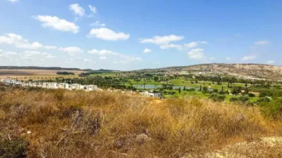 Chalet in Algorfa photo 50