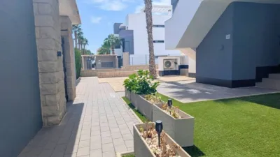 Apartment in Guardamar del Segura photo 27