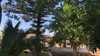 Rustic house in Ondara photo 24