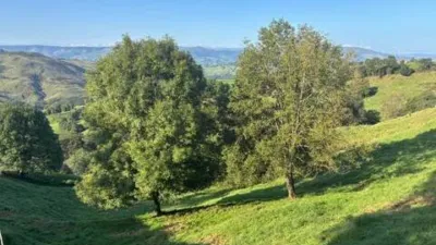 Rustic house in Saro photo 6