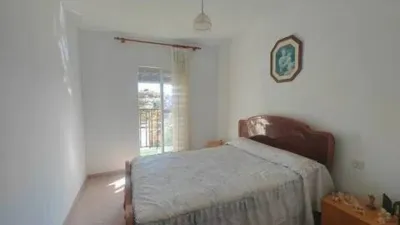 Rustic house at 19 Sierra de Gibralgalia Street photo 10