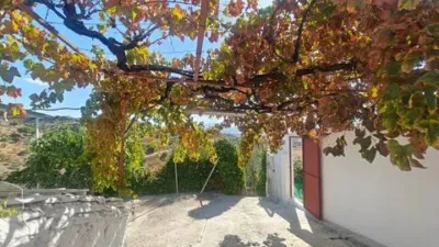 Rustic house at 19 Sierra de Gibralgalia Street photo 23