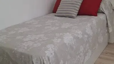 Apartment in Pont Nou photo 15