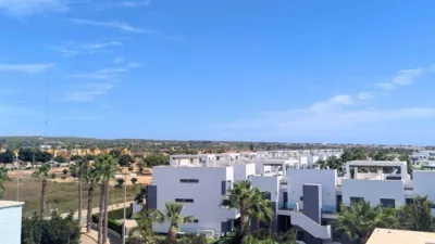 Apartment in Guardamar del Segura photo 9