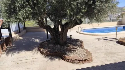 Chalet on Avenida Castillo Monteagudo photo 85