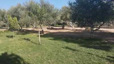 Rustic house in Palafrugell photo 26