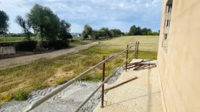 Rustic property in Felanitx photo 13