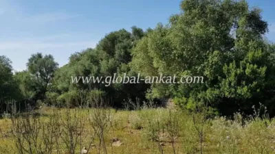 Rustic house in Felanitx photo 10