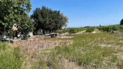 Rustic property in Almoradí photo 14