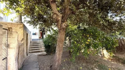Flat in Felanitx photo 22