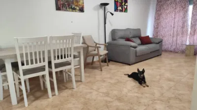 Apartment on Maestro Pedro Paredes Street photo 8