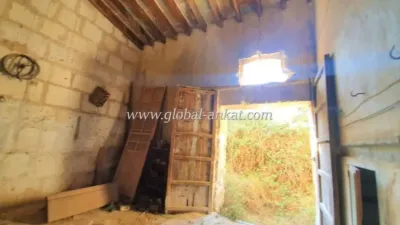 Chalet in Felanitx photo 12