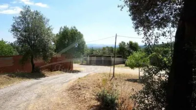 Rustic house in Brunyola photo 45