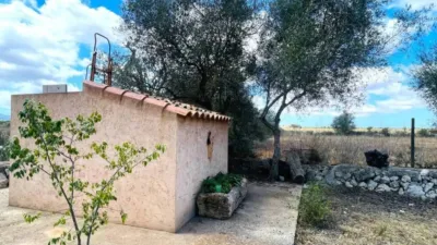 Rustic house in Felanitx photo 26