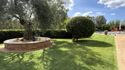 Rustic property in Felanitx photo 10