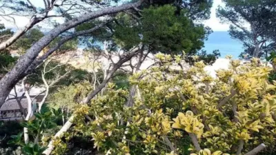 Chalet in Begur photo 38