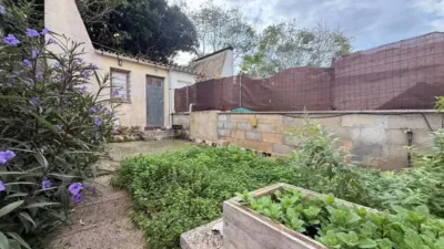Apartment in Felanitx photo 21