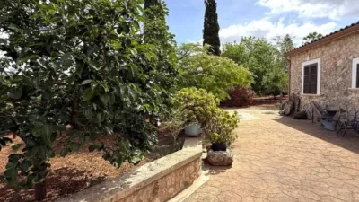 Rustic property in Felanitx photo 48