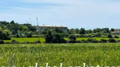 Rustic house in Felanitx photo 6