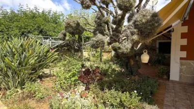 Rustic property in Felanitx photo 43