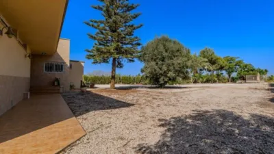 House in Almoradí photo 44