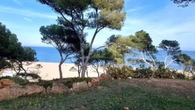 Chalet in Begur photo 39