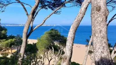 Chalet in Begur photo 35