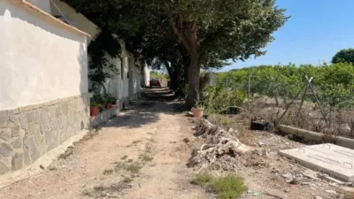 Rustic property in Almoradí photo 16