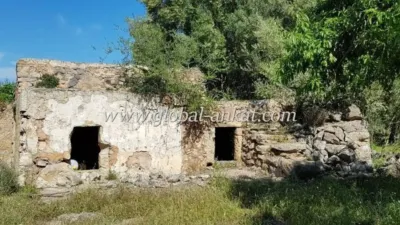 Rustic house in Felanitx photo 5