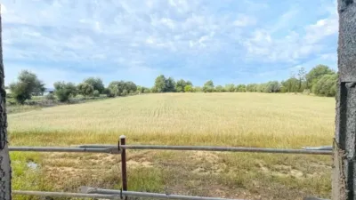 Rustic property in Felanitx photo 12