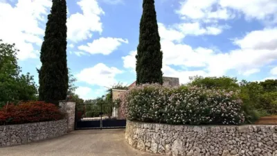 Rustic property in Felanitx photo 53