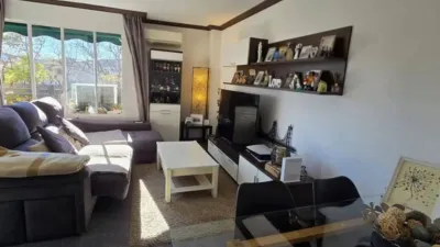 Apartment in Calvià photo 3