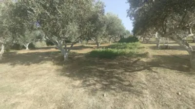 Rustic house in Palafrugell photo 9