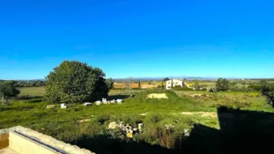 Rustic house in Felanitx photo 8