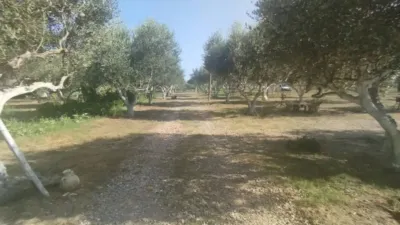 Rustic house in Palafrugell photo 8
