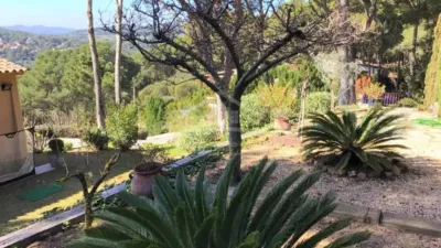 Chalet in Palafrugell photo 7