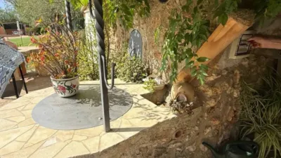 Rustic property in Felanitx photo 62