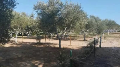 Rustic house in Palafrugell photo 29