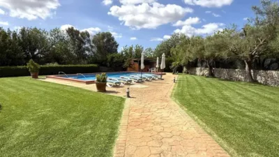 Rustic property in Felanitx photo 12